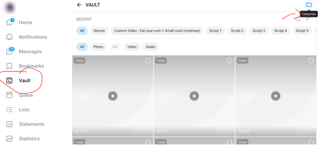 OnlyFans Vault Categories